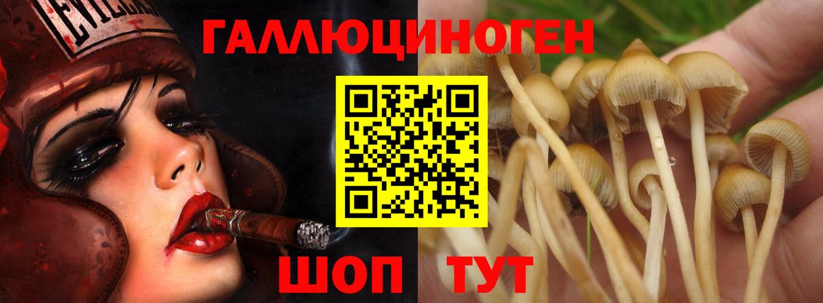 Псилоцибиновые грибы мицелий Киреевск